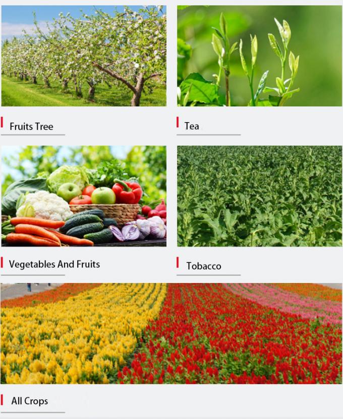 Dott. Aid NPK 22 11 12 migliore fertilizzante liquido di vendita dell'azoto di liquido del fertilizzante del fertilizzante del magnesio degli oggetti 50kg per caffè